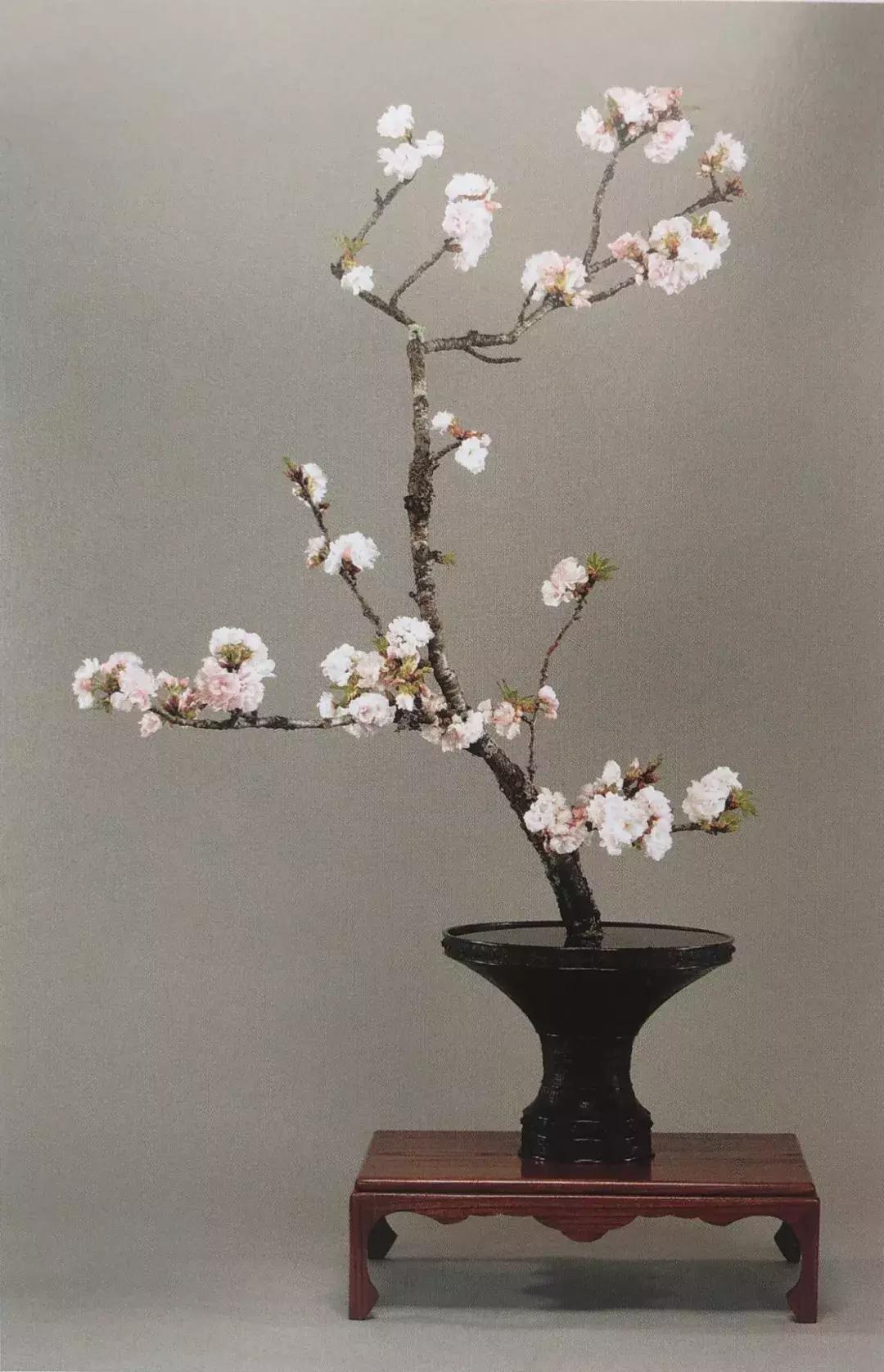 花道与插花技艺,花道活动布置