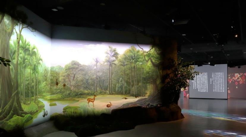 展馆展示设计方案,展馆展示图片排版