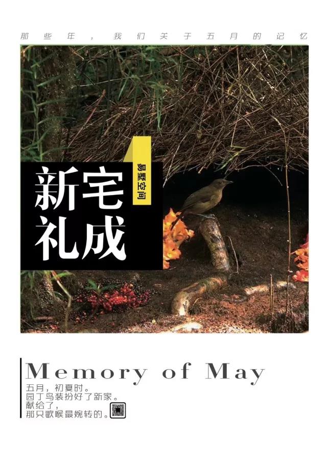 家装借势营销走心文案,家装节活动营销文案