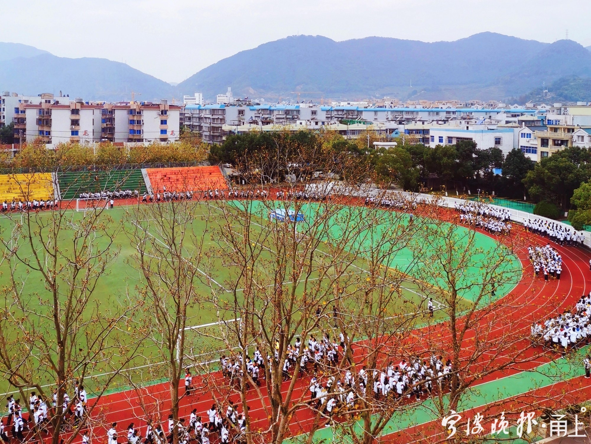 既是学霸又是校草,既是校霸又是学霸还是校草