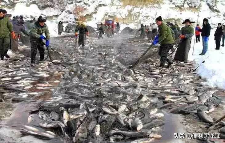 30绉掑甫浣犱簡瑙ｉ粦榫欐睙,甯︿綘浜嗚В榛戦緳姹熷悇涓競