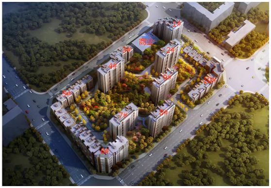 一个小片区，6个限竞房，购房者表示挑花了眼