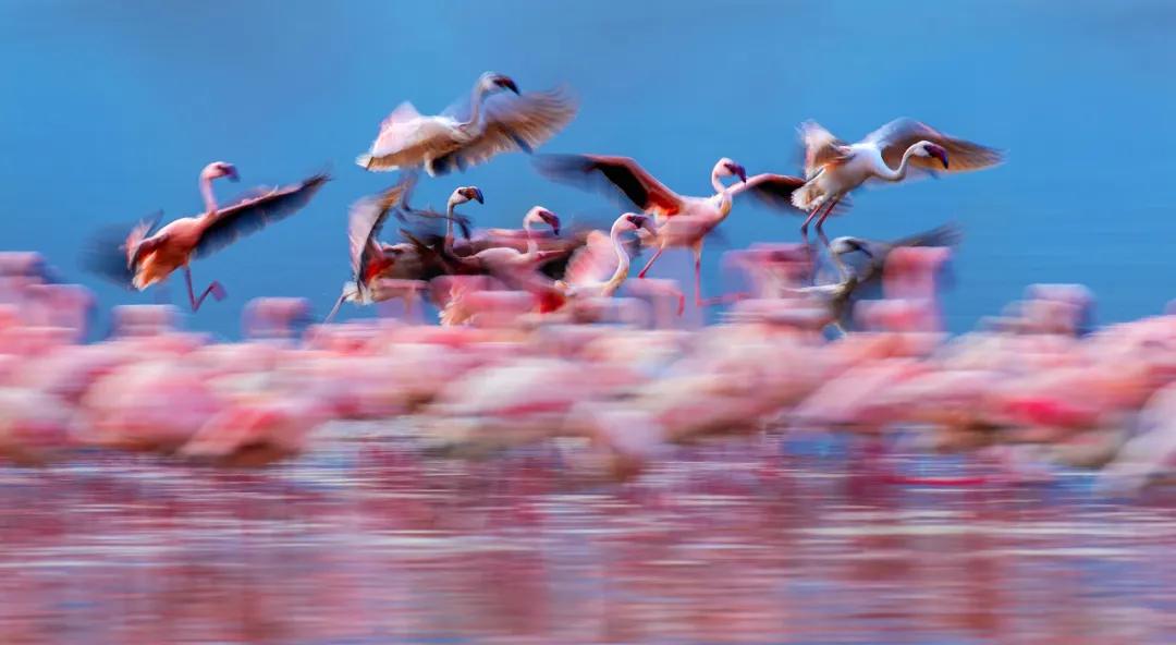 香港第14届全国摄影艺术展,第29届全国摄影艺术展览获奖名单