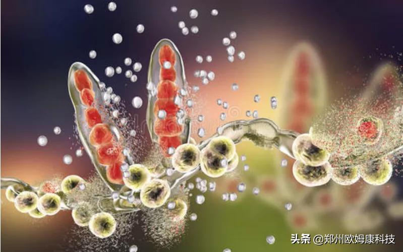 相信偏方不如相信抗菌鞋垫！不然一通操作猛如虎结果治疗全没谱