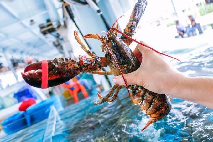 领略海口美丽风光，尝尽海口的各种美食