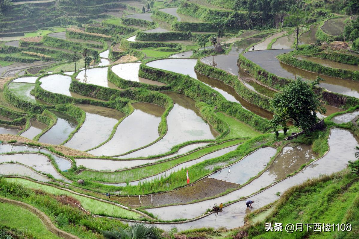 常宁市历届北大清华名单,湖南常宁历届高考状元分数