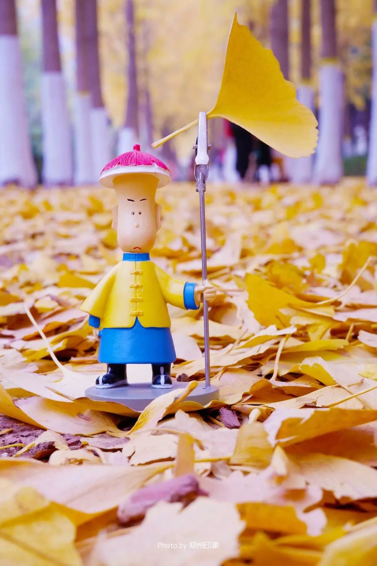 郑州漂亮的秋色风景,郑州的这些湖畔藏着最美的秋色