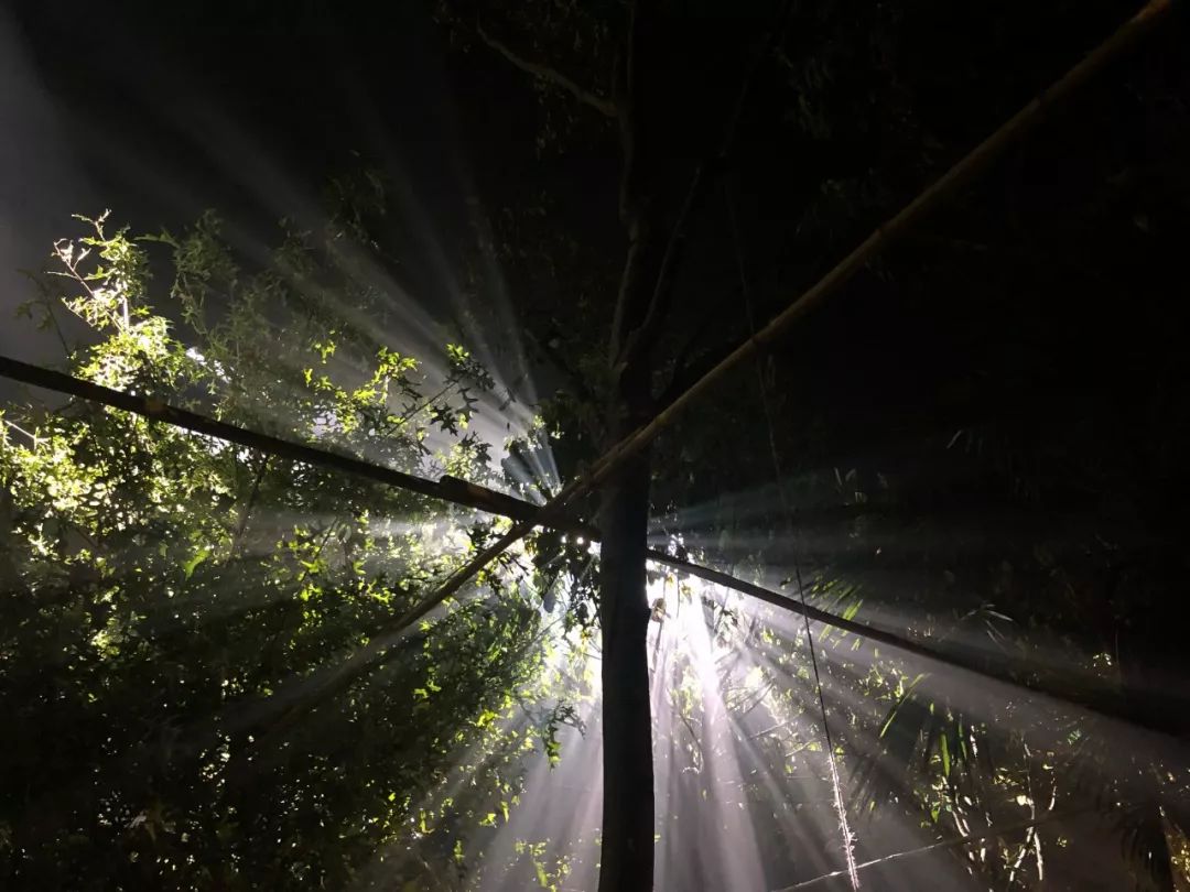 dior值得买的马鞍包是哪款,dior最好的十款包