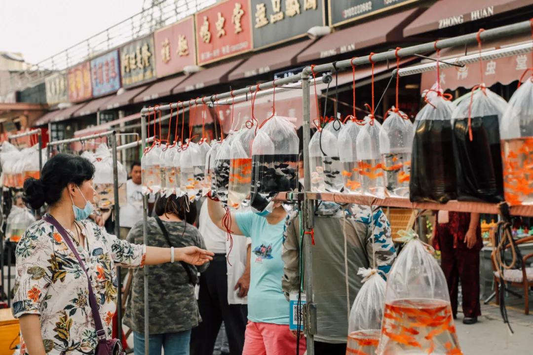 天津最便宜的批发市场在哪里,天津最大的批发市场一览表