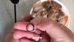 如何挑选和处理河蚌，菜场老板教我一招，果然肉质鲜嫩、不老不腥