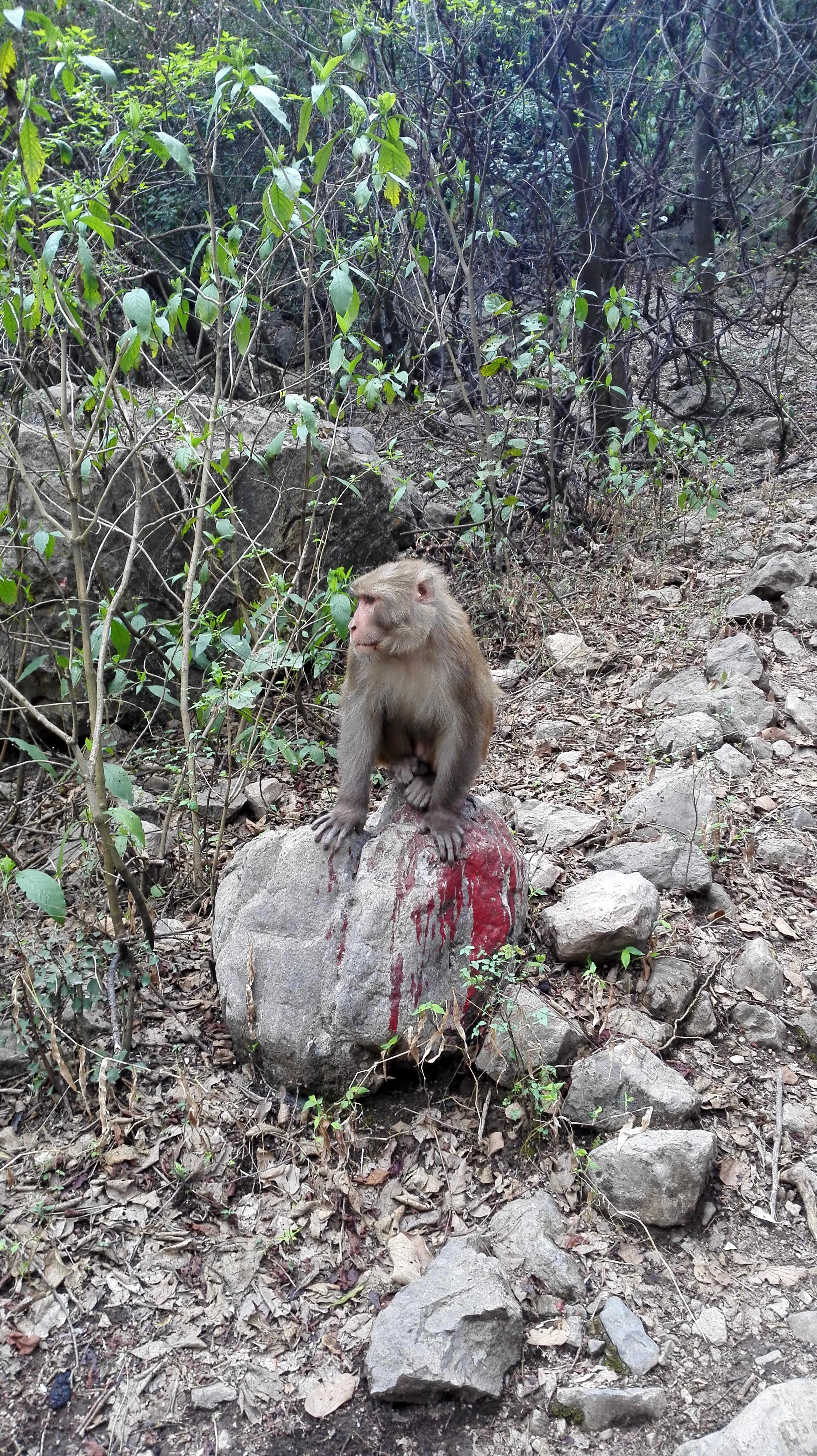巴基斯坦女人嫁到中国,巴基斯坦的女人的地位