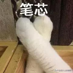 信阳人的生活压力究竟有多大,信阳月薪3000是不是太少