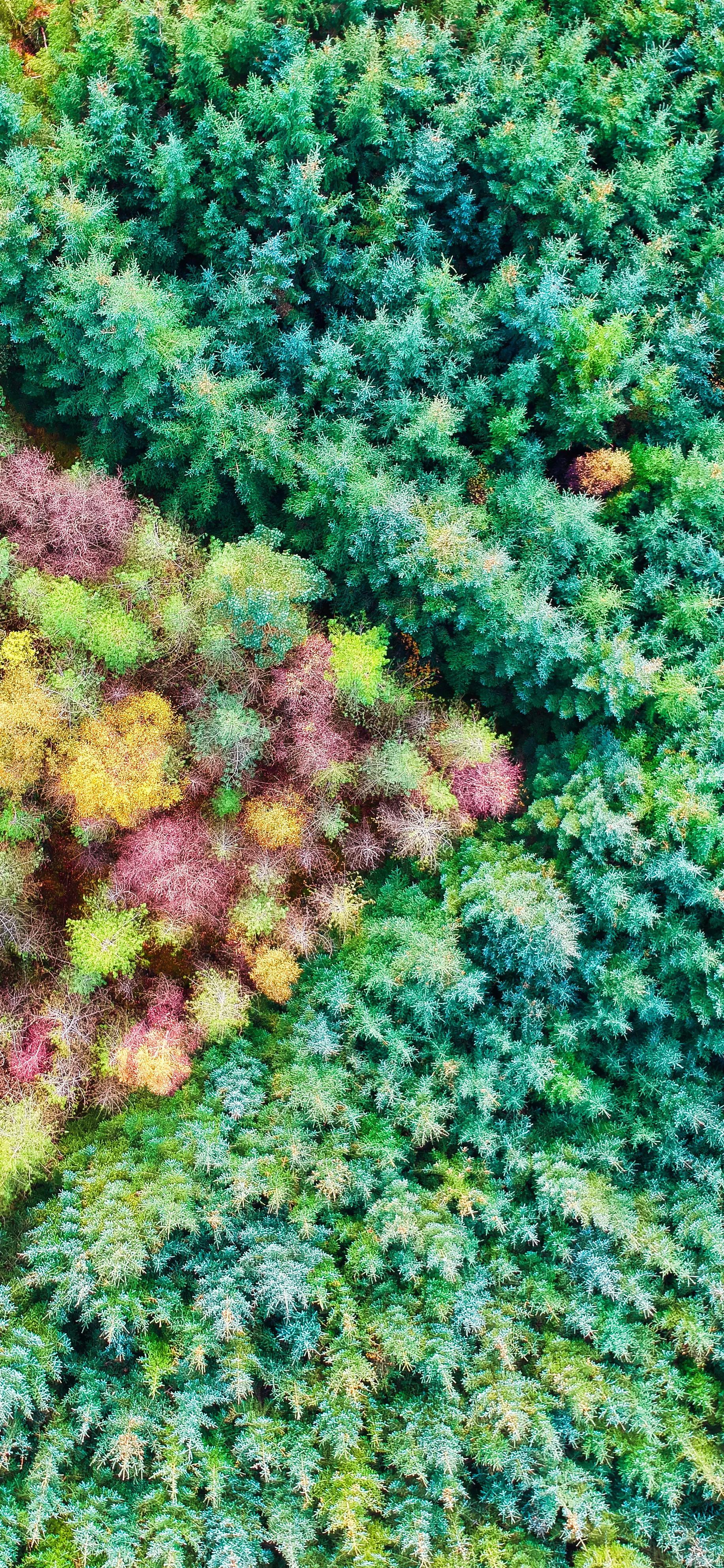 俯瞰小路高清手机壁纸,宇宙俯瞰地球高清壁纸