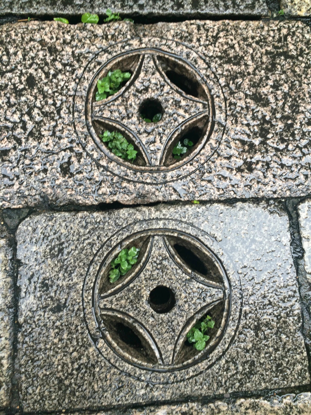 大隐隐于深山,大隐隐于市乌鲁木齐