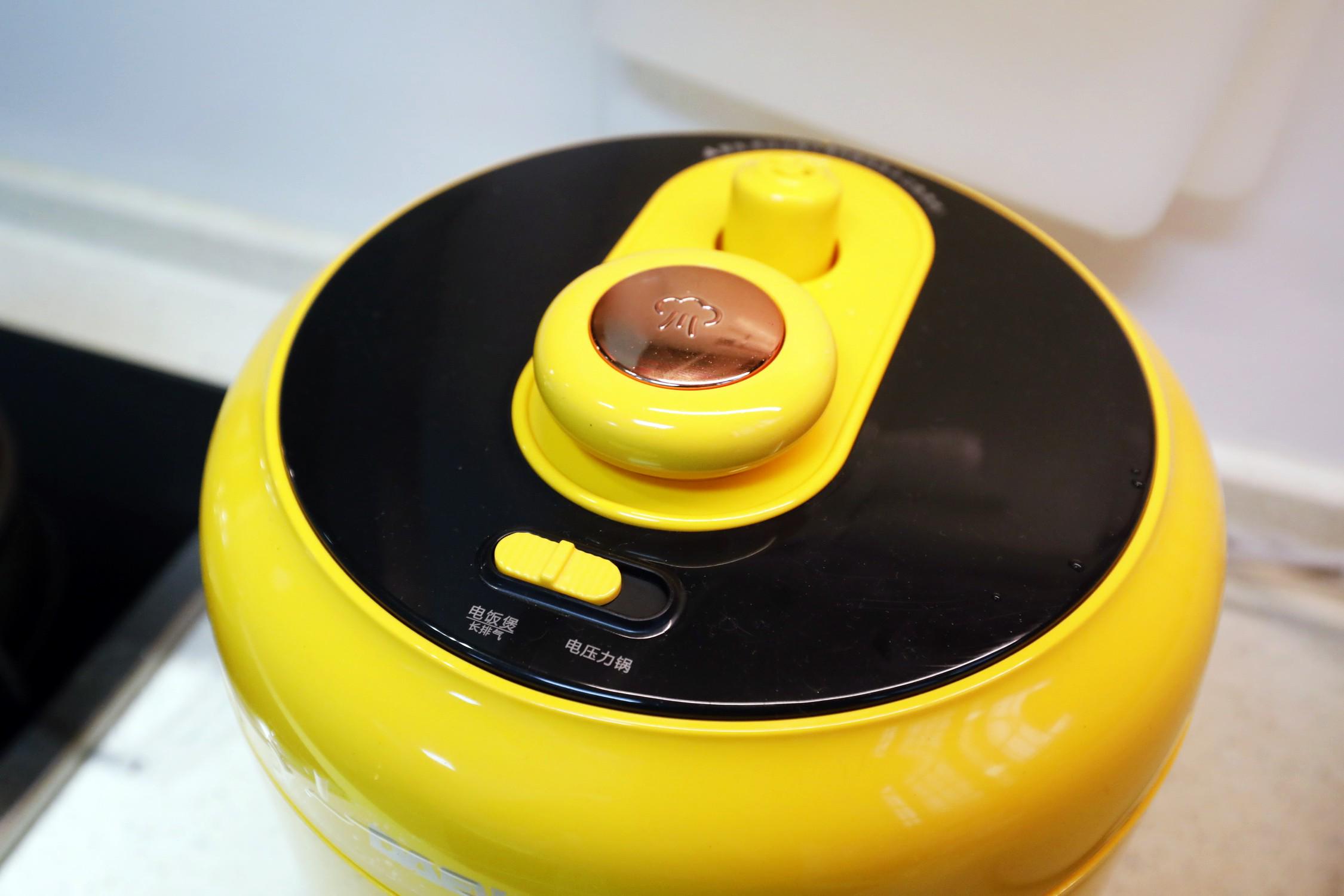 蒸煮两用电压力锅哪个牌子好,家用压力锅和微压锅哪个好