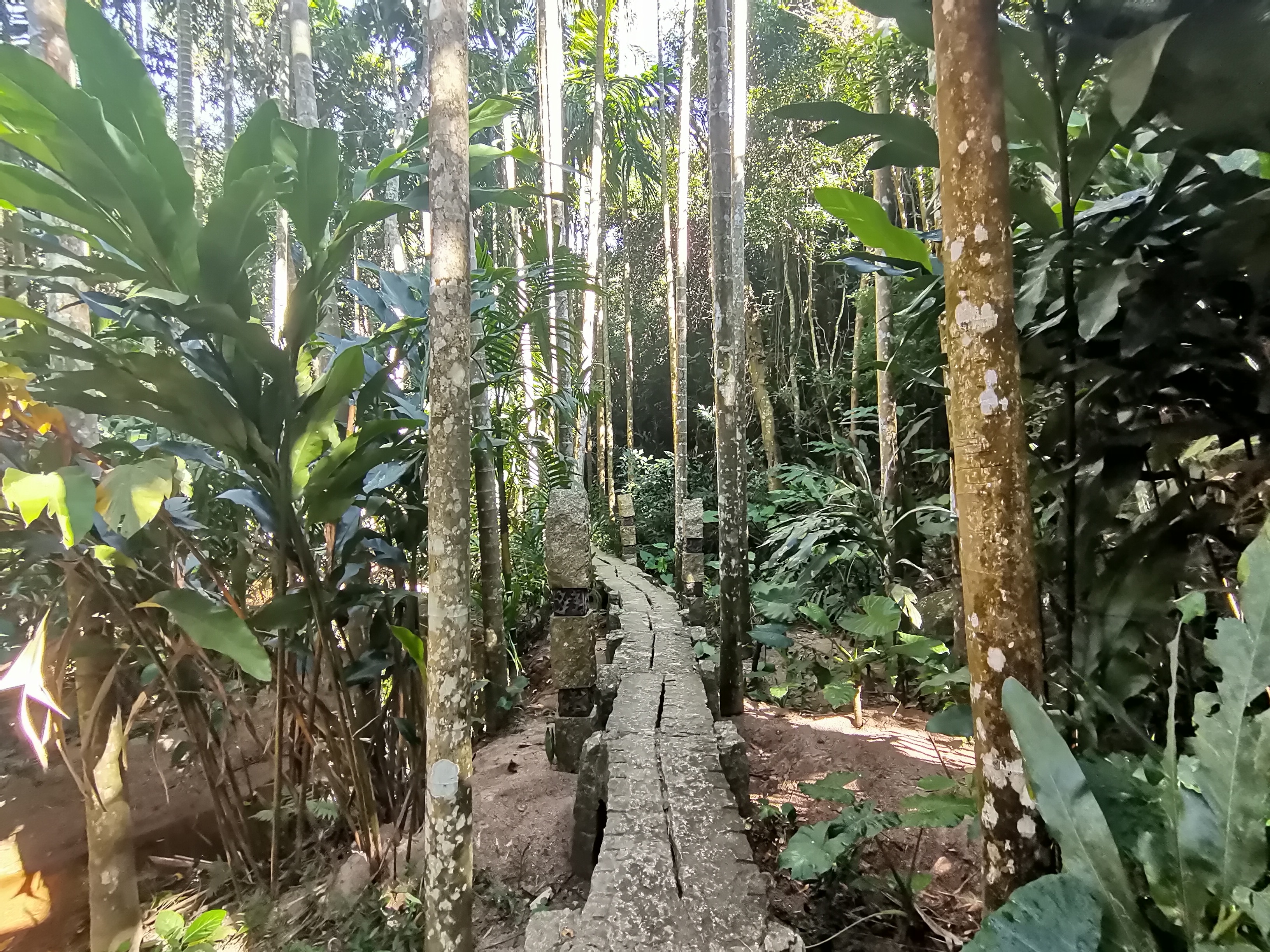 去了海南三亚,去完三亚热带森林公园可以逛哪里