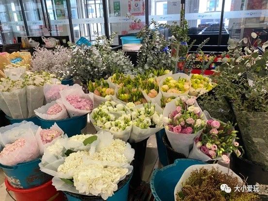 过年必逛花卉市场,北京值得去的花卉市场