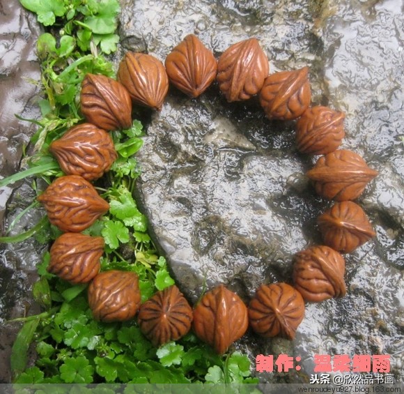 菩提子种类与寓意,手把件菩提子种类