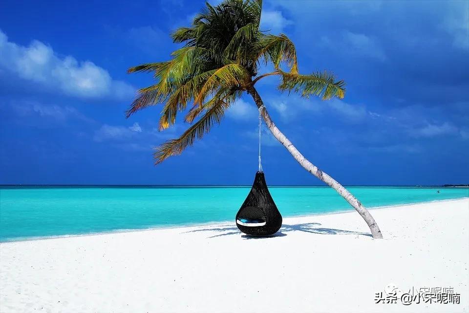 自媒体公众号名称怎么起,如何打造一个自媒体公众号