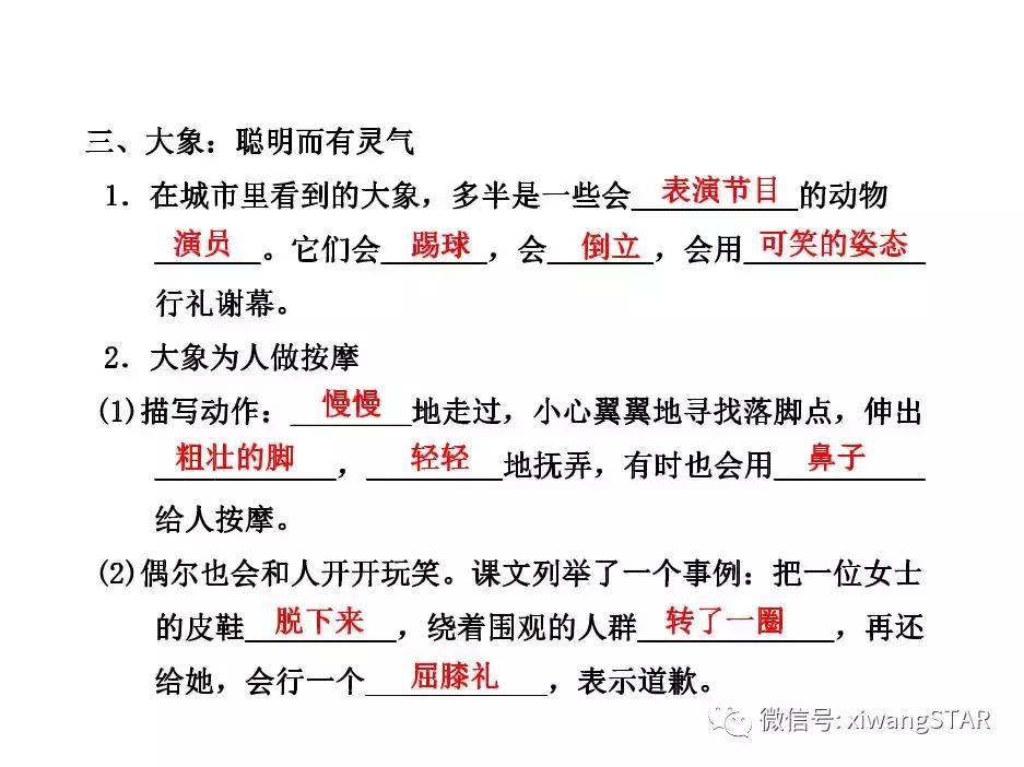 与象共舞语文五年级下册老版,五年级下册与象共舞阅读