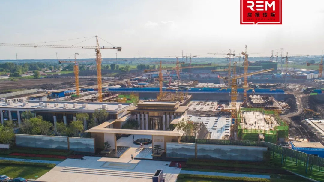 逆袭！原以为它抢了一块普通地块，结果是「亿万富翁」，它摊牌了