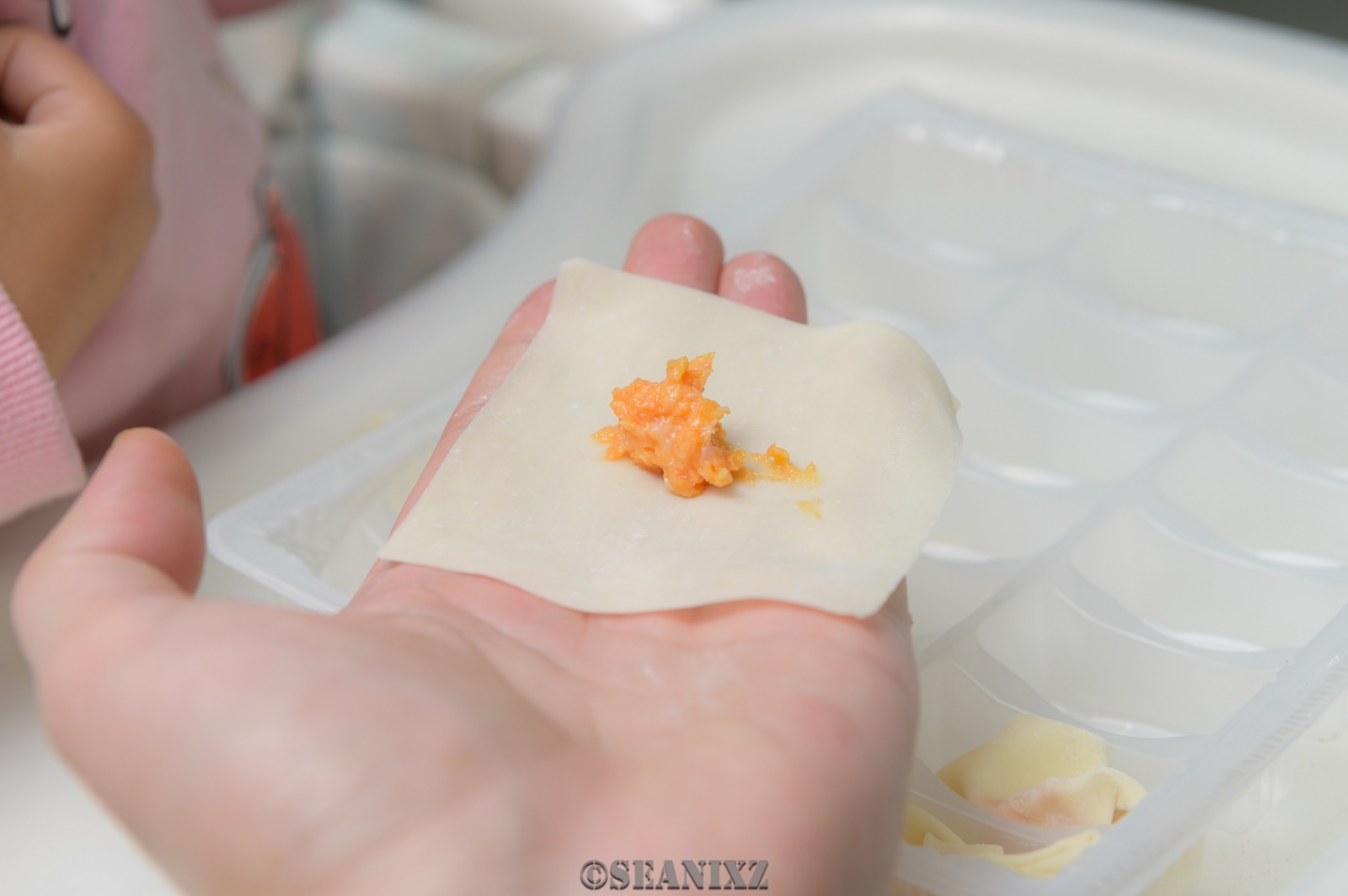 kitchenaid多功能厨师机,kitchenaid多功能食物料理机