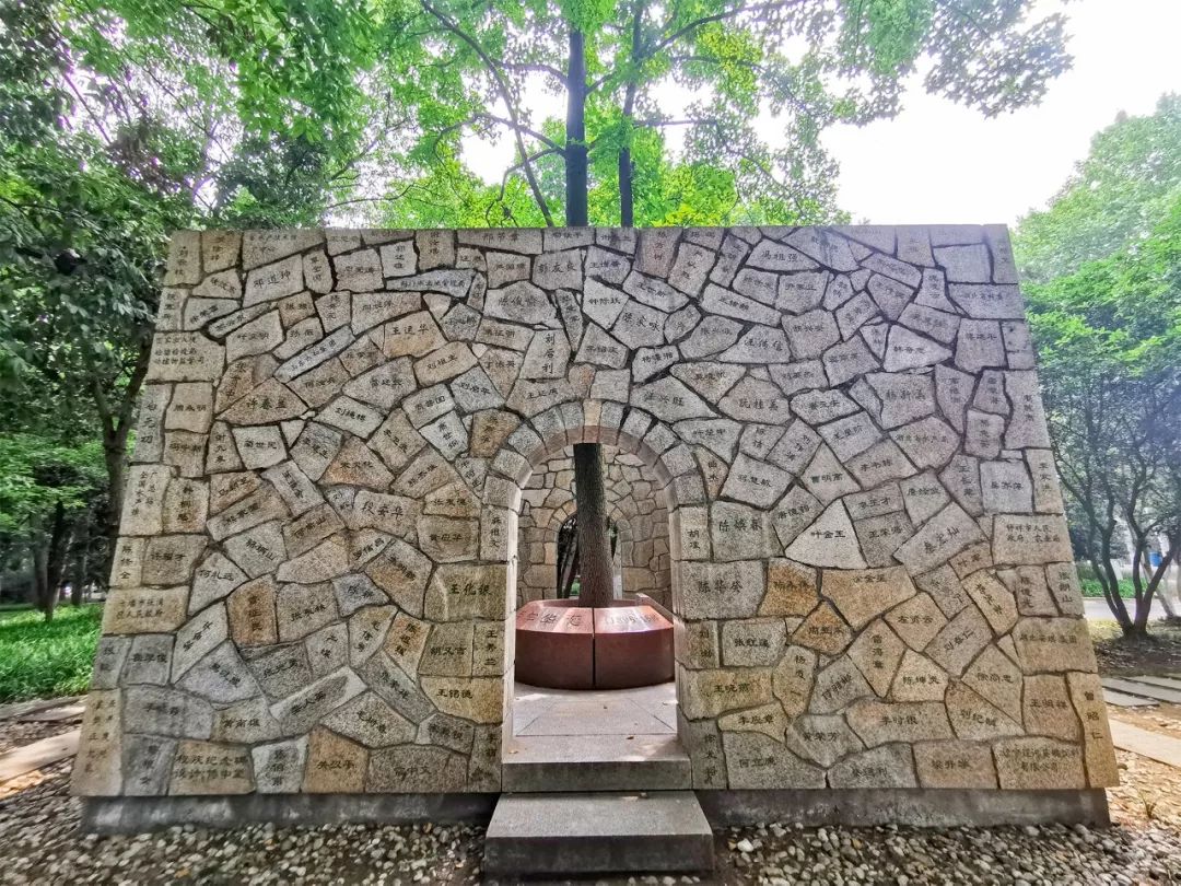 又是全国第一!华中农业大学,全体武汉人的骄傲