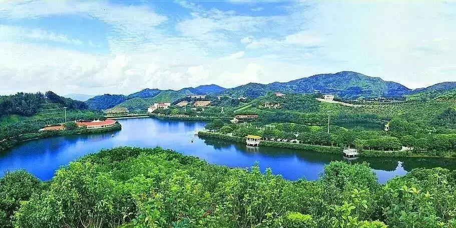 你回梅州了吗,还能回梅州吗