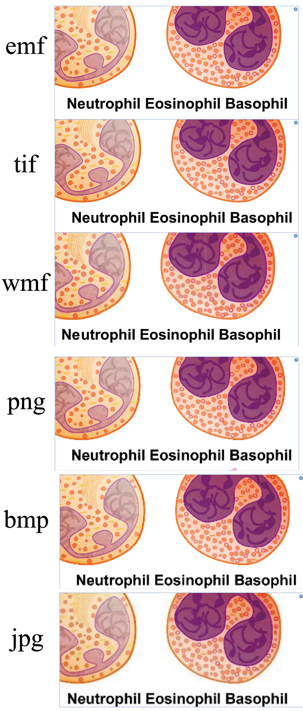 ai导出哪个格式的图片缩小更清晰,ai导出什么格式的图片最清晰