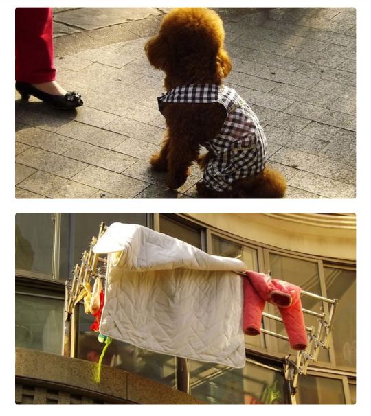 知乎中国与美国有什么相同与不同,知乎网友对中国美国发展的评论