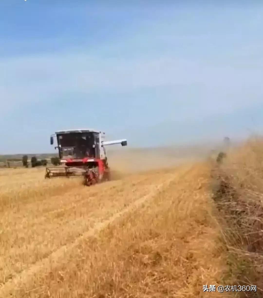 汪师傅安装收入,收割机雷沃谷神和雷沃谷王哪个好