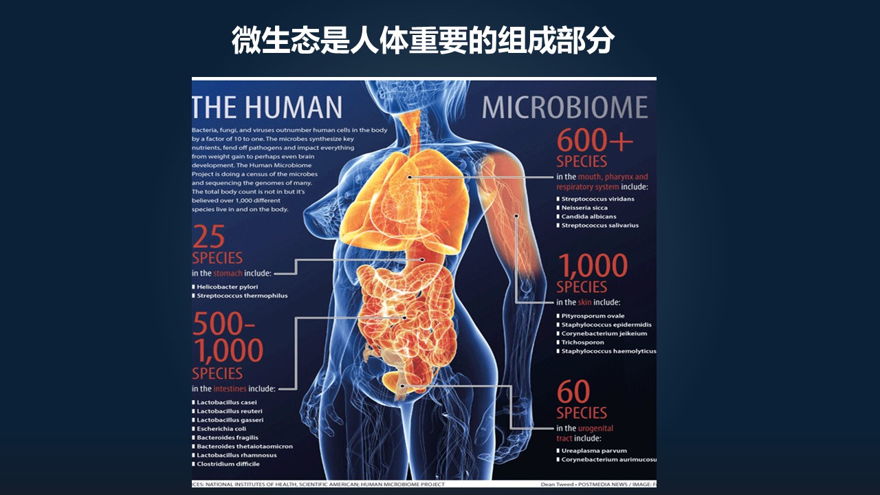 肖冰冰,肖冰冰的创作