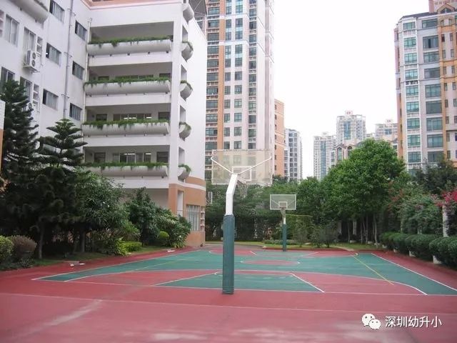 深圳最难进的民办小学！24000元一学期！附学位申请指南