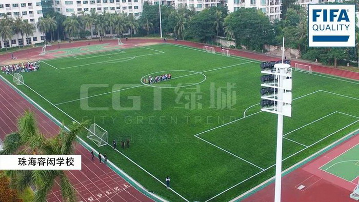 世界上最好的足球场草坪,世界海拔最高的球场