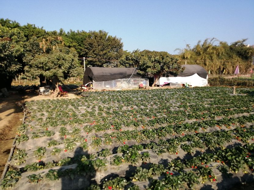 偶遇乡村田园生活视频,偶遇田园生活韩剧演员