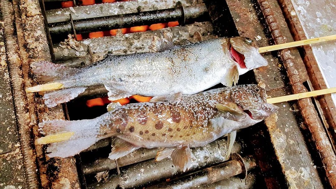 肛拭子有危害吗,肛拭子的好处