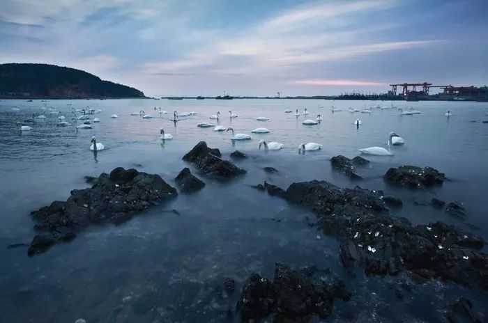 山东百强县2021年排名,山东2021百强县排名榜