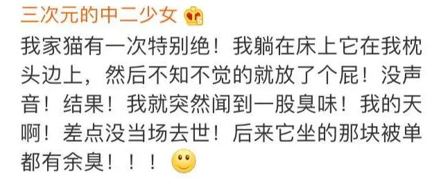 猫在床上尿臭味怎么消除,猫咪放了屁整个身子都臭