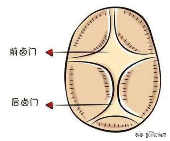 芋教QA：1岁月龄宝宝那些事儿