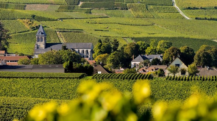 香槟普及知识,关于香槟你需要知道的7个知识