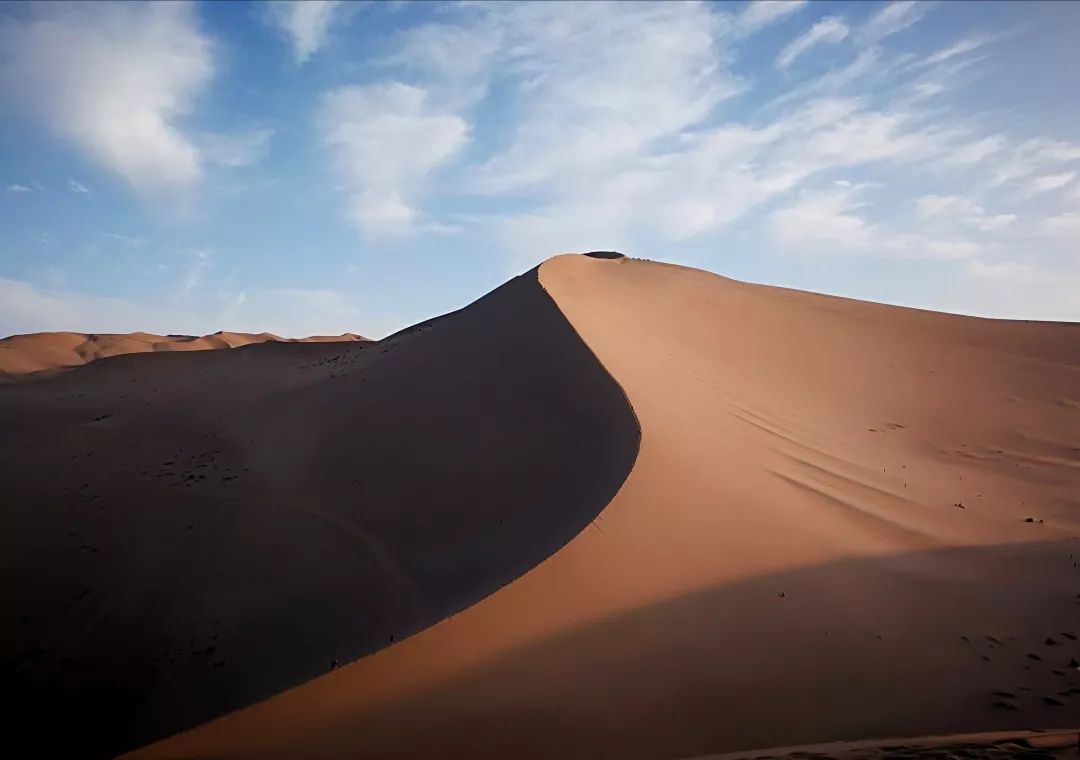 老爸,我想和你一起再做600件事!