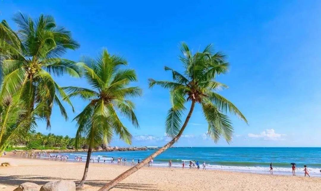 乐享好宅|徐闻山湖海·海泊湾：自贸港“龙头资产”