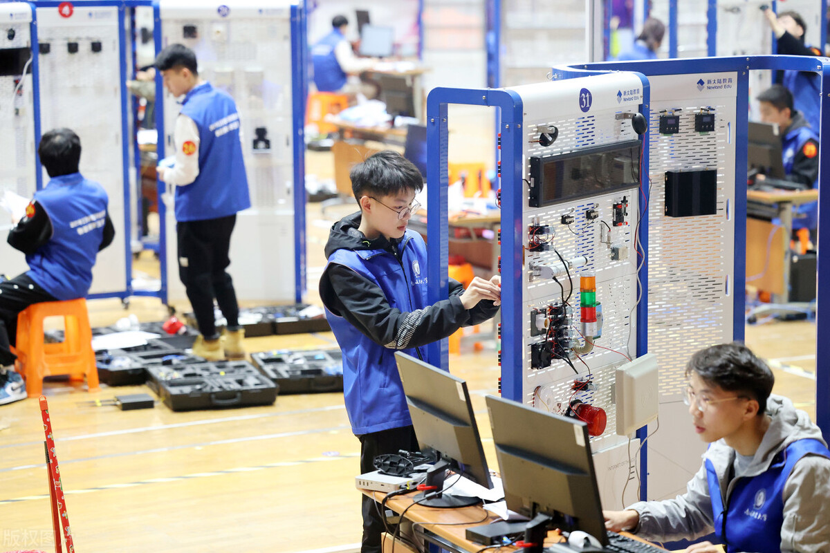 物联网专业职业发展路径,人才培养角度