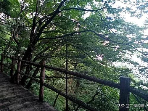 陕西商洛天竺山一日游,天竺山商洛