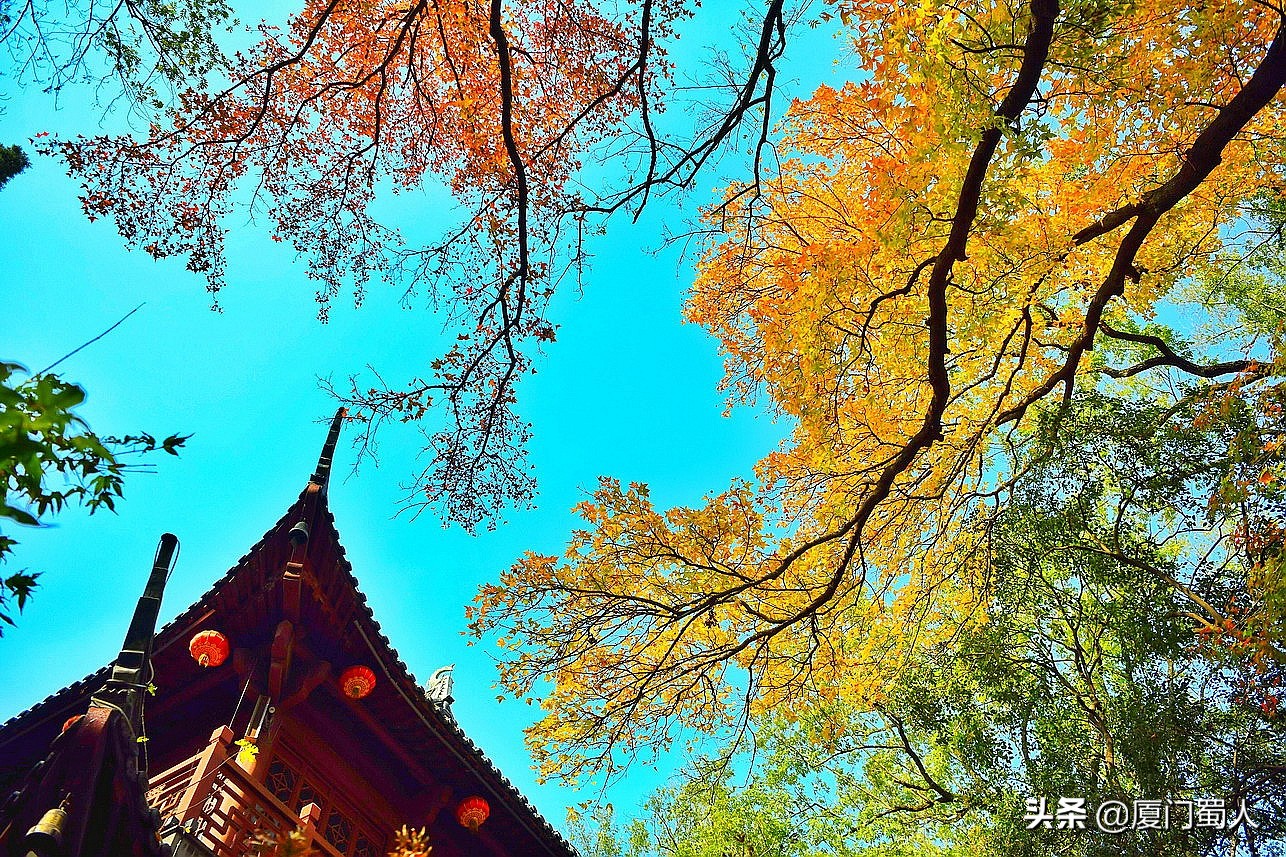 南京四大赏枫地 (南京赏枫胜地)