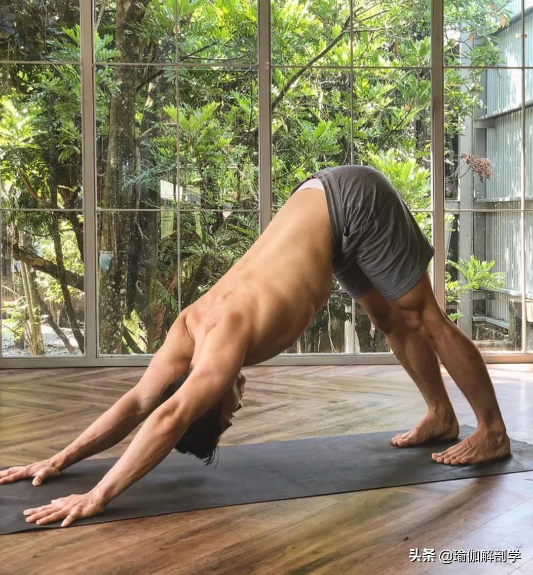 练瑜伽的男人的特点,经常练瑜伽的男人会有什么好处