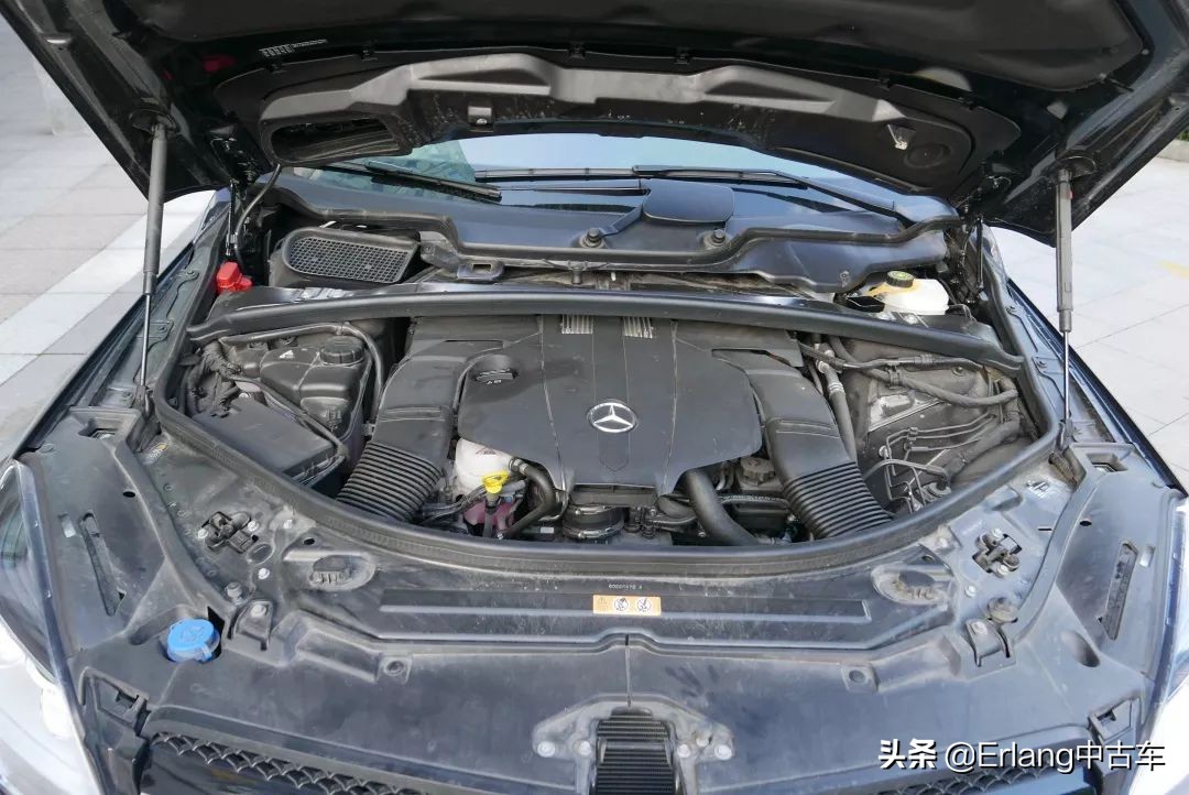 消失的陆地中文版,消失了的陆地