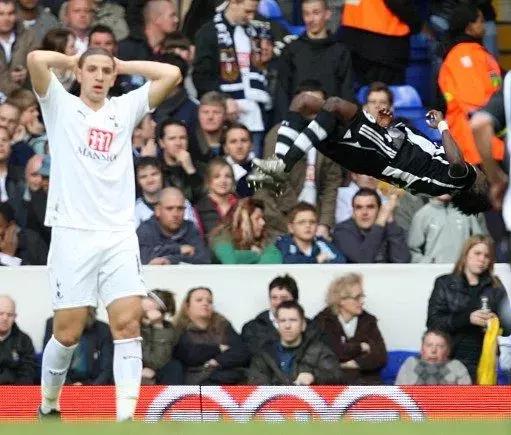 还记得马丁斯吗？那只在梅阿查和圣詹姆斯公园翱翔的雄鹰