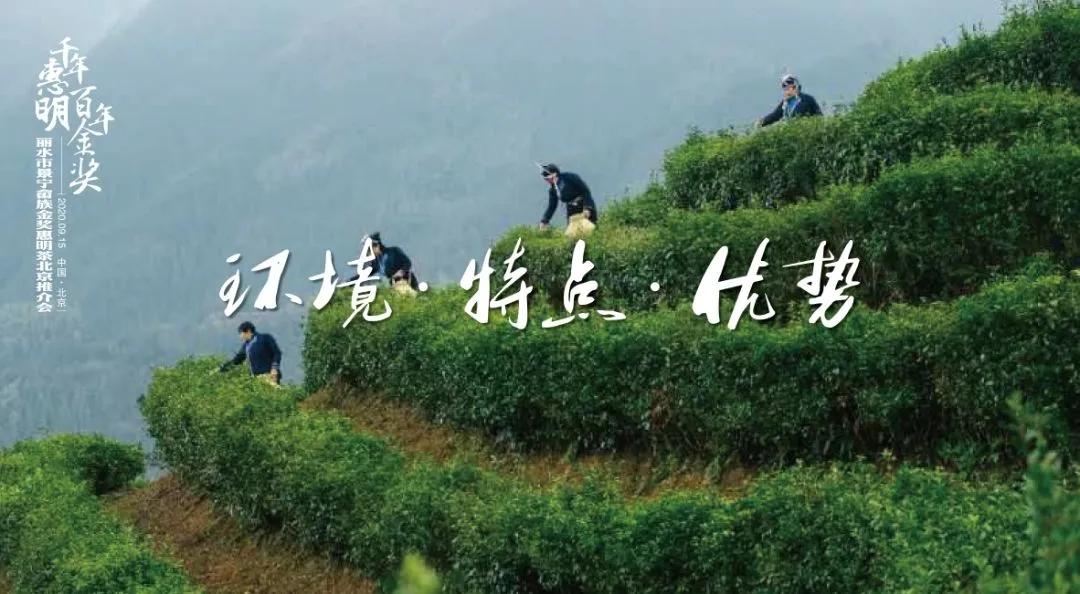 千年金奖是什么奖,千年惠明茶