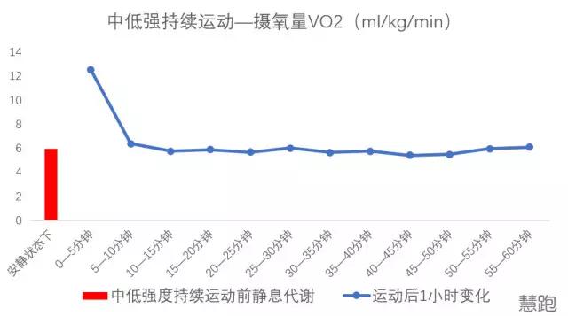 什么是hit运动,高强度hit训练